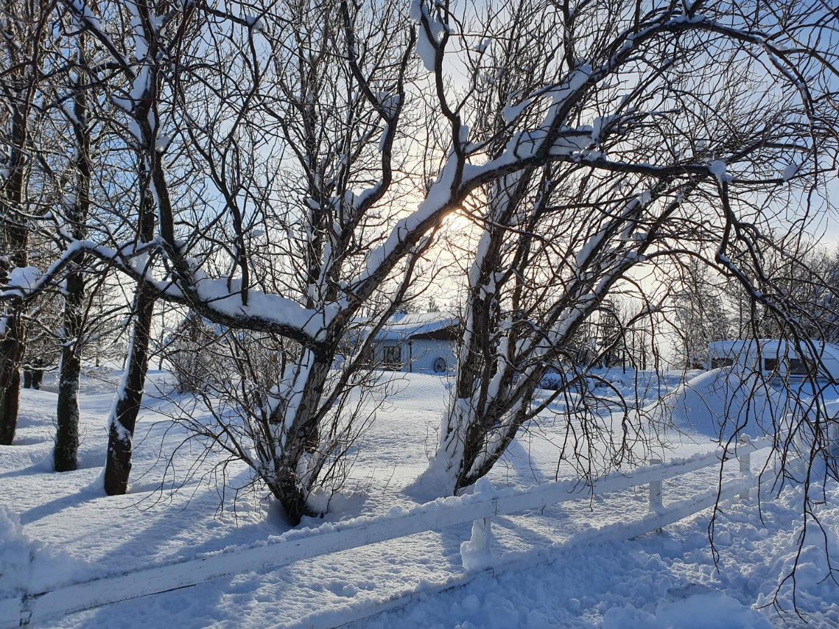 Golden Circle Private Farmhouse With Hot Tub Villa Селфос Екстериор снимка
